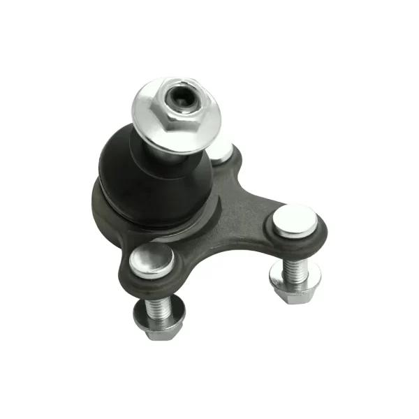 ROTULA L