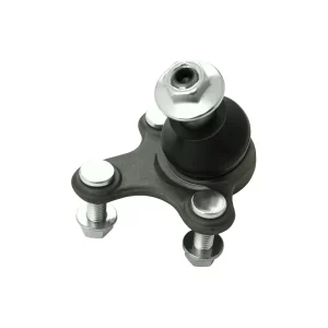 ROTULA R