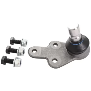 ROTULA R